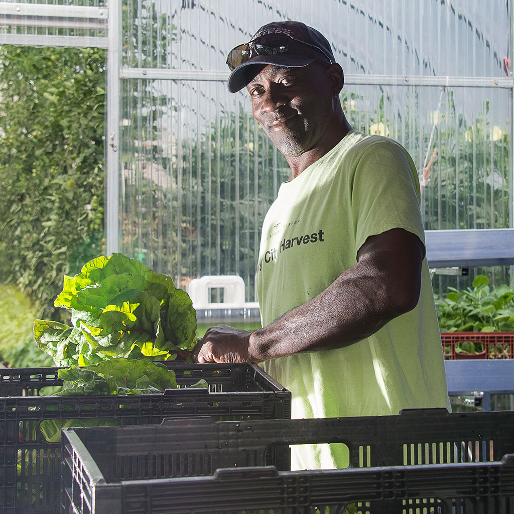 Windy City Harvest Apprenticeship