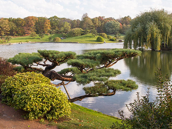 Japanese Garden Design Chicago Botanic Japanese Garden Design Chicago, Japanese Garden Pictures Images And Photos