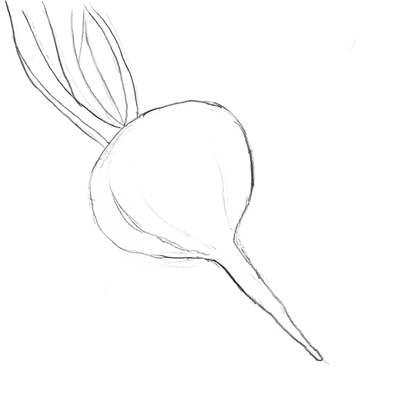 beet