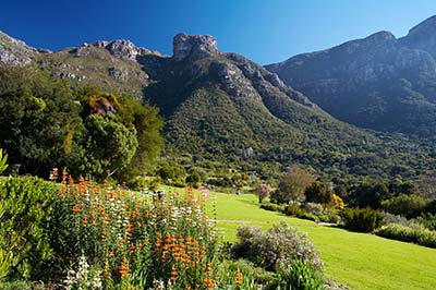 Kirstenbosch