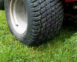 Lawn Mowing