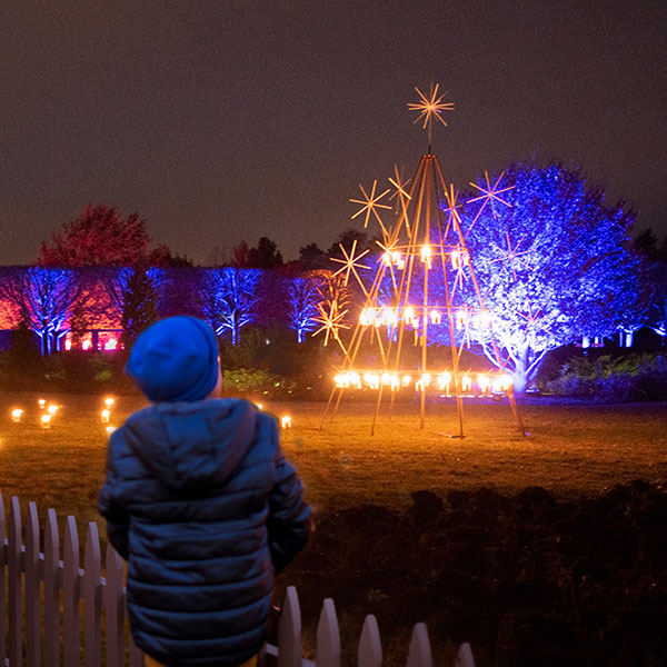 botanic garden lightscape botanic garden lightscape
