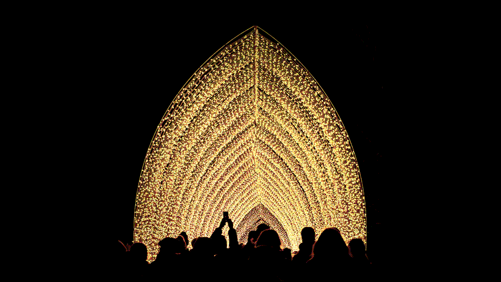 Lightscape Chicago Botanic Garden