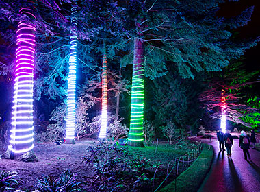 botanic garden lightscape tickets for sale botanic garden lightscape tickets for sale