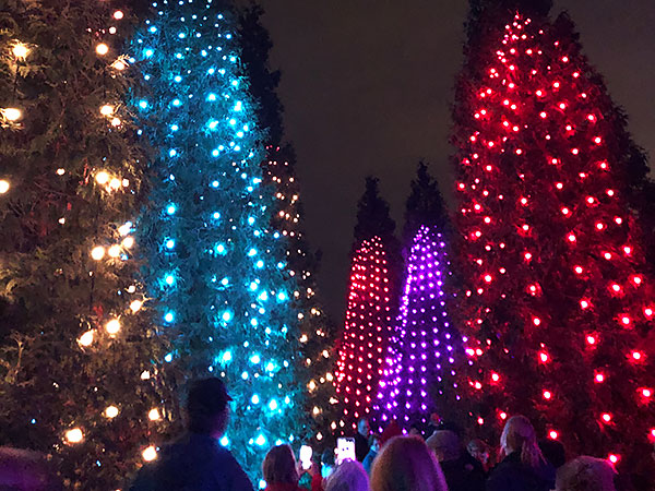 Lightscape Chicago Botanic Garden