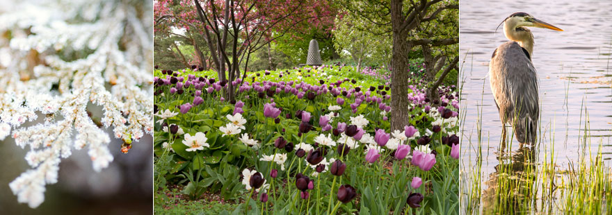 Gift Memberships Chicago Botanic Garden Enjoy Four Seasons Of Membership