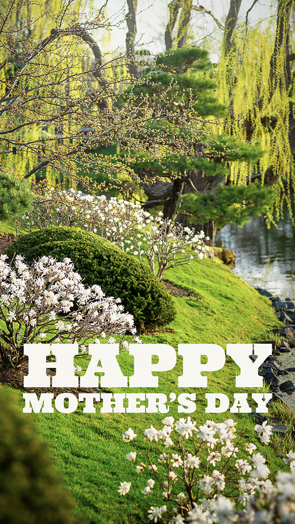 Mother's Day Card Japanese Garden