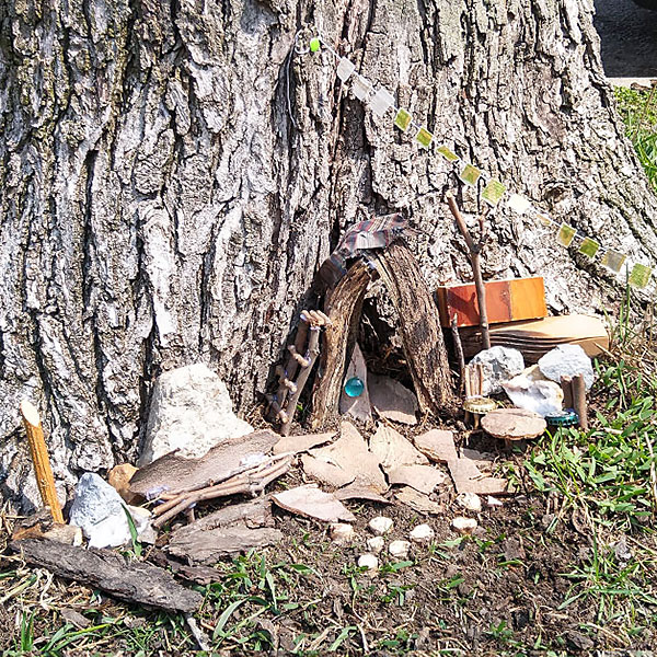 Make a Fairy Garden