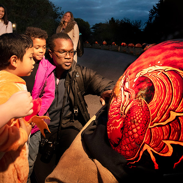 intricately carved pumpkins
