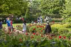Strategic Plan Chicago Botanic Garden