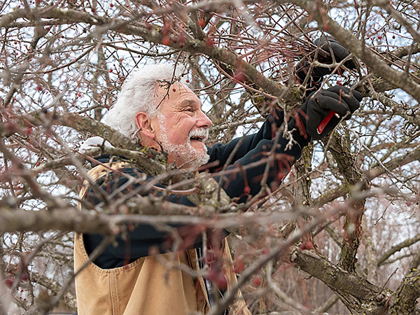 Tree and Shrub Care