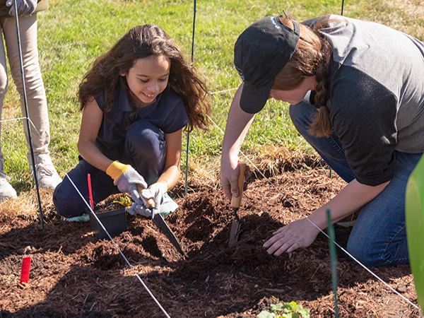 planting