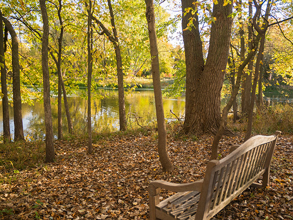  Barbara Brown Nature Reserve