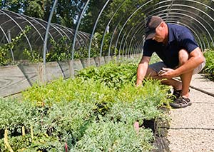 Plant Evaluation