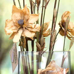 Roadside Flower Sale