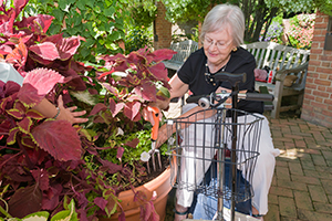 Healthcare Garden Design