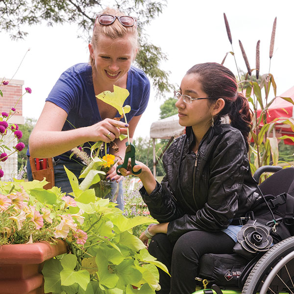 Register for Healthcare Garden Design Certificate Program