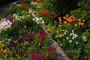 Paint Your Garden with Color Paint Your Garden with Color