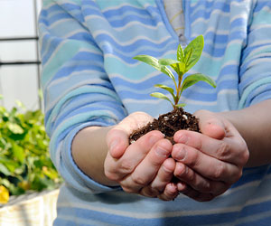 Classes for Gardeners
