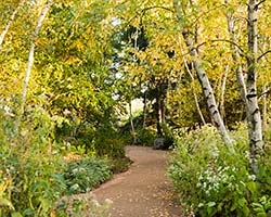 sensory garden