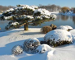Japanese Garden with snow