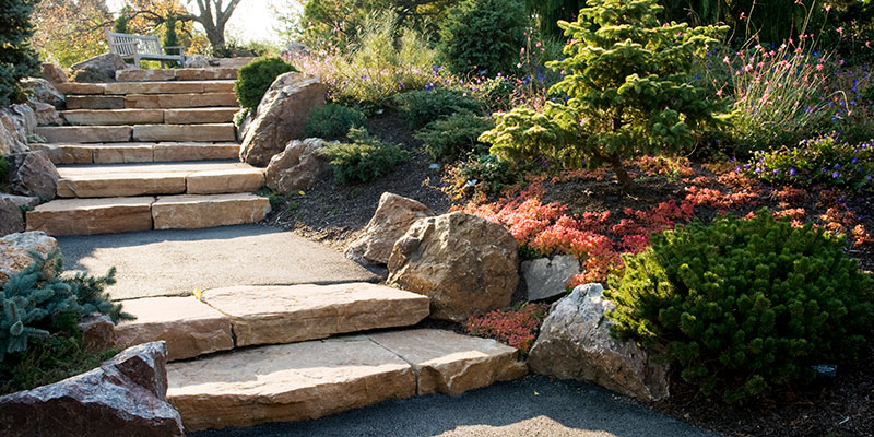 Dwarf Conifer Garden | Chicago Botanic Garden