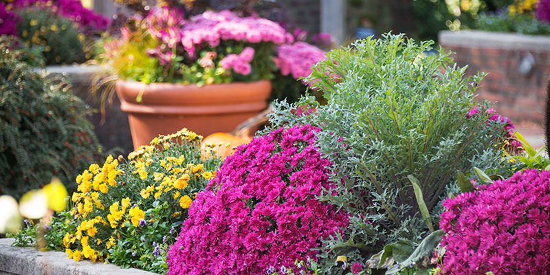 Buehler Enabling Garden | Chicago Botanic Garden