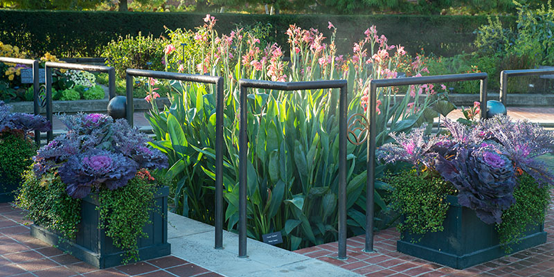 Heritage Garden | Chicago Botanic Garden