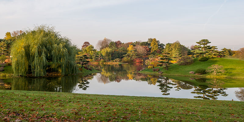 Elizabeth Hubert Malott Japanese Garden | Chicago Botanic Garden
