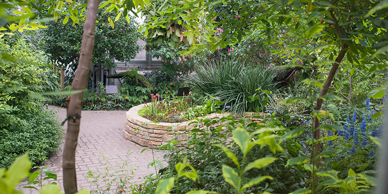The Greenhouses | Chicago Botanic Garden