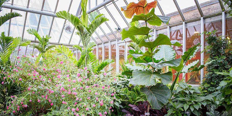 The Greenhouses Chicago Botanic Garden