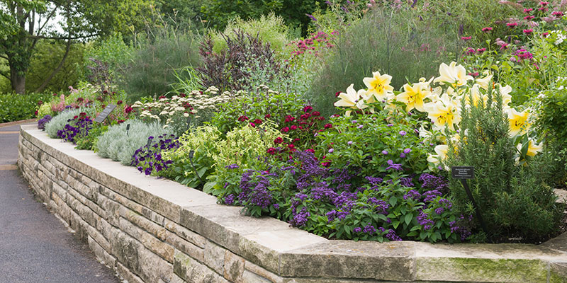 Sensory Garden | Chicago Botanic Garden