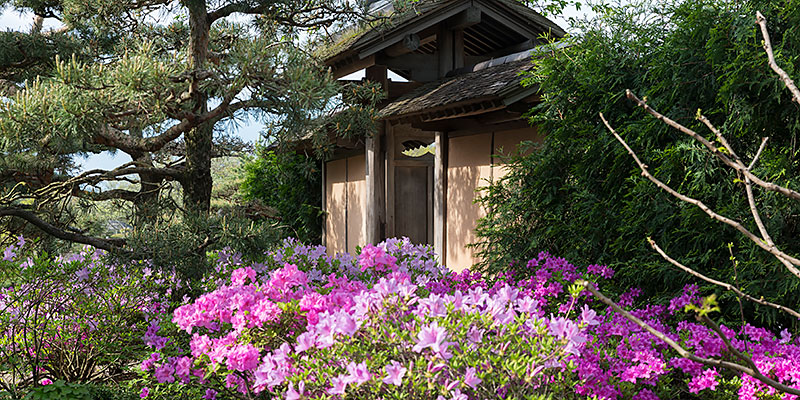 Elizabeth Hubert Malott Japanese Garden Chicago Botanic Garden