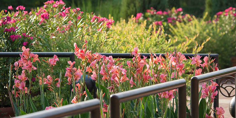 Heritage Garden Chicago Botanic Heritage Garden Chicago Botanic, Heritage On The Garden