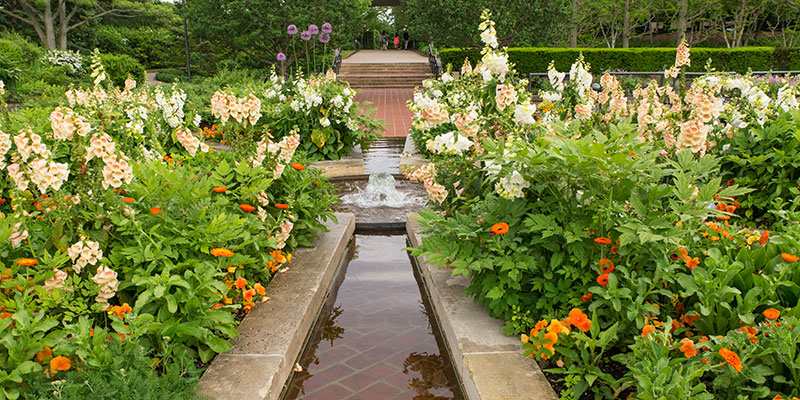 Heritage Garden Chicago Botanic, Heritage On The Garden