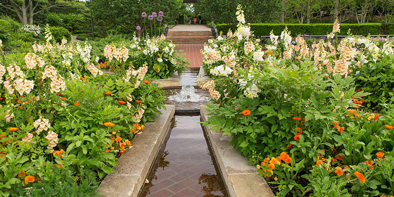 Heritage Garden Chicago Botanic Heritage Garden Chicago Botanic, Heritage On The Garden