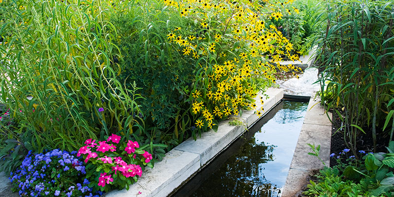 Heritage Garden Chicago Botanic Heritage Garden Chicago Botanic, Heritage On The Garden