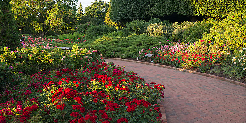 Palatine Township Senior Citizens Council