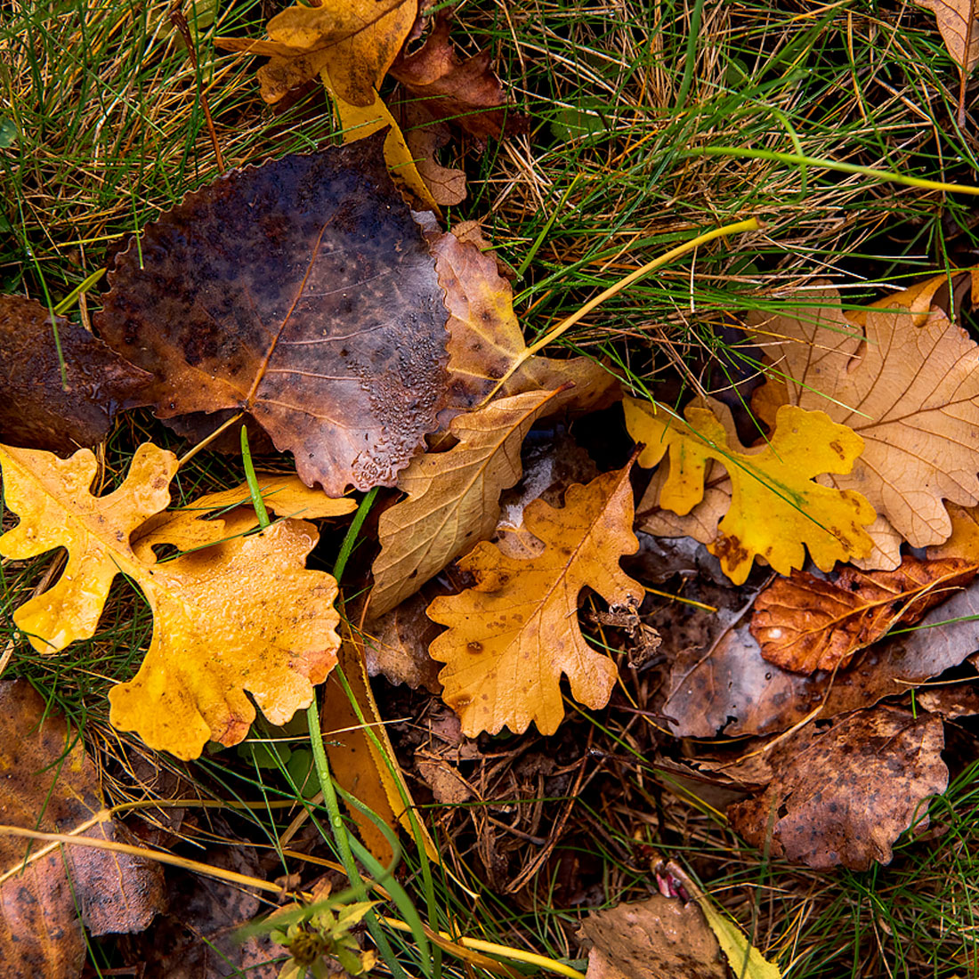 Composting