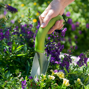Fall Planting