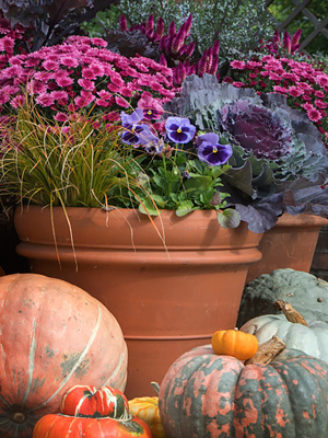 Fall Containers at the Garden