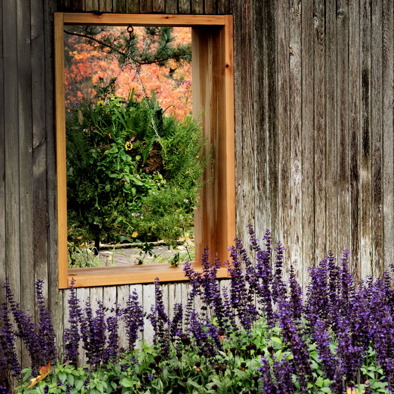 Halloween - Bewitching Blooms