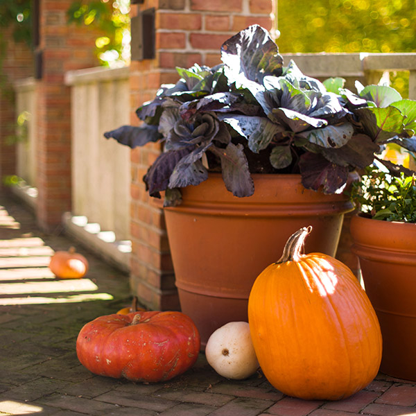 container in fall