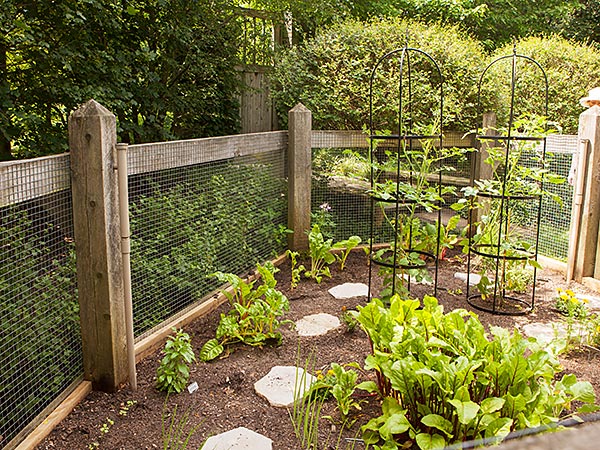 water feature