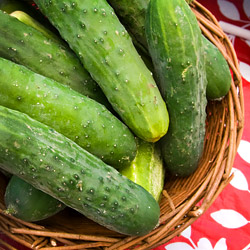 Cucumbers