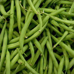 Green Beans