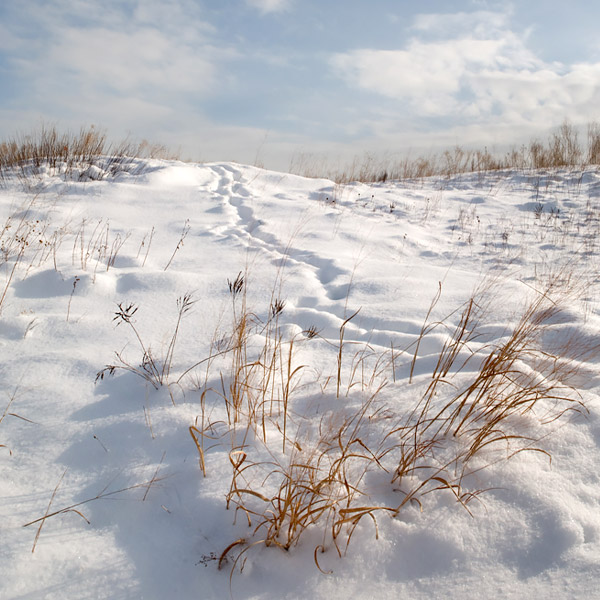 Winter Photography