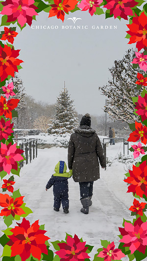 chicagobotanic snapchat geofilters for winter