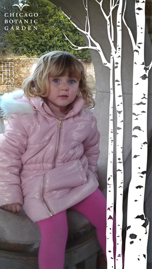 chicagobotanic snapchat geofilters for winter