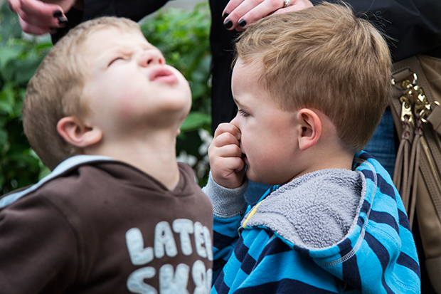 Corpse Flower Smell